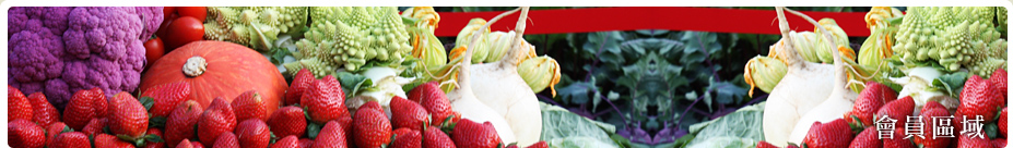 CGG Banner